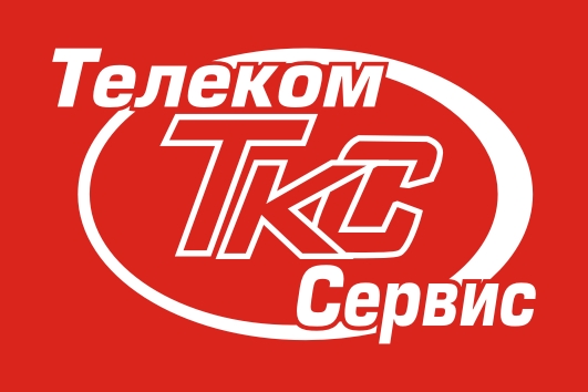 лого Телеком-Сервис.jpg